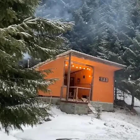 барнхаус карпатський подих