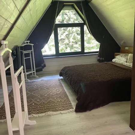 барнхаус карпатський подих Synevyrs'ka Polyana