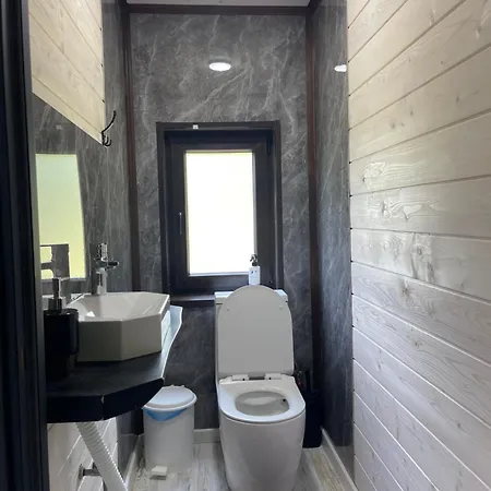 Chalet барнхаус карпатський подих