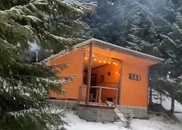 барнхаус карпатський подих