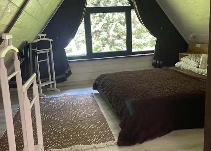 барнхаус карпатський подих Синевирская Поляна