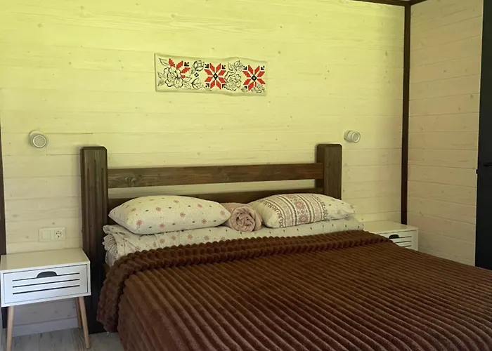 барнхаус карпатський подих Dağ evi *