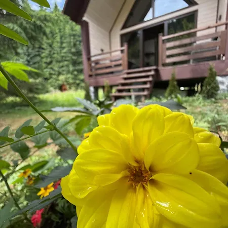 Chalet барнхаус карпатський подих *